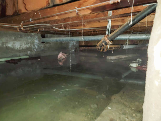 Best Flooded house restoration  in Pottstown, PA