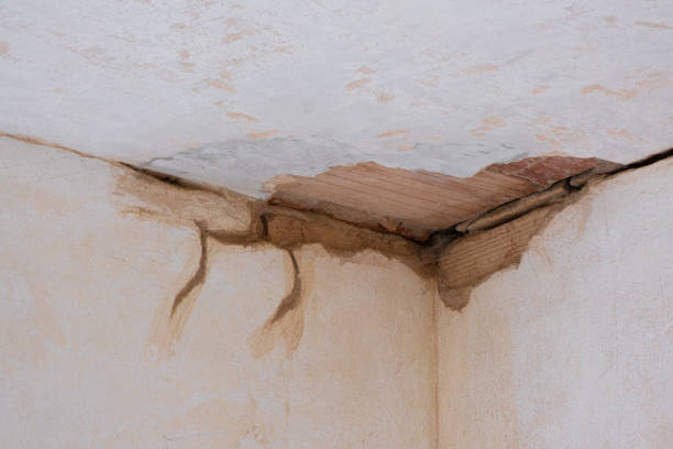 Best 24/7 water damage repair  in Pottstown, PA