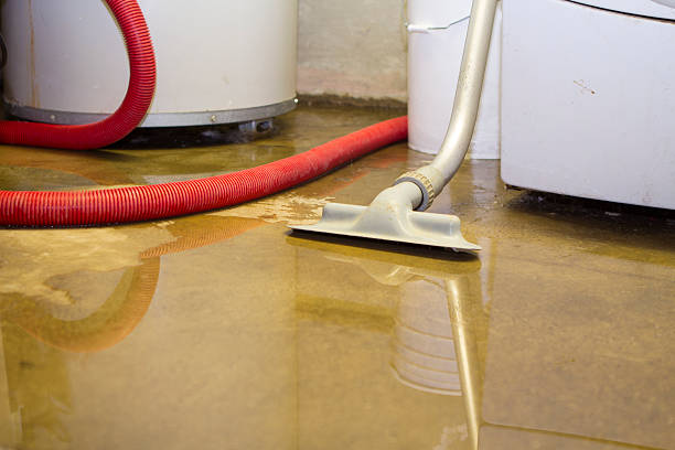 Best Mold removal after water damage  in Pottstown, PA