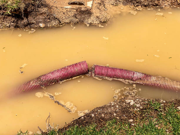 Best Water damage contractors near me  in Pottstown, PA